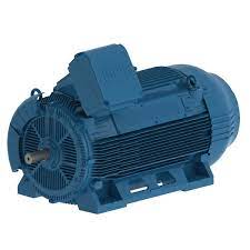 W50 - Cast Iron TEFC