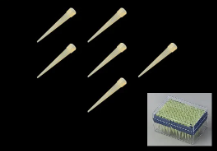 Ibis Pipette Tip (Box Pack) 0.2 - 20μl 96/Box x 10 Boxes Natural and others