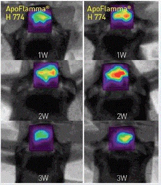 ApoFlamma® H serie