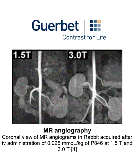 P846 – LDA (Low Diffusable contrast Agent)
