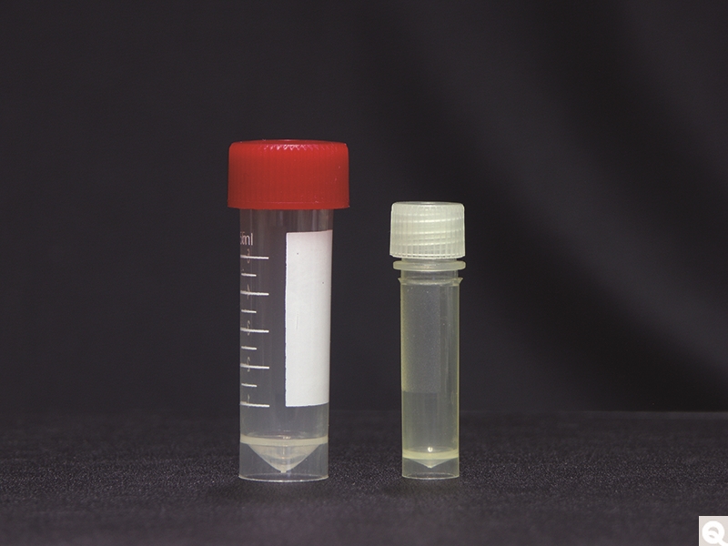Cryogenic Vials